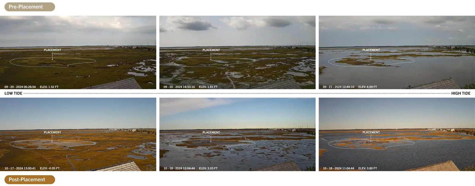 关乎时间:滨海盐沼的适应性管理丨美国新泽西-28