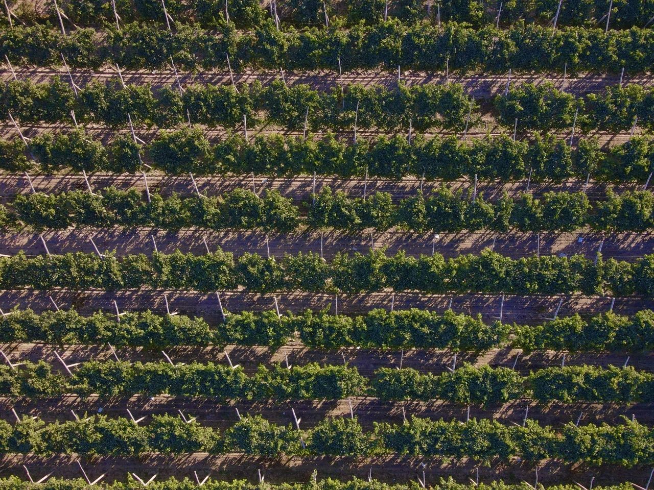 敦煌碧玥酒店丨中国甘肃丨SLH-99