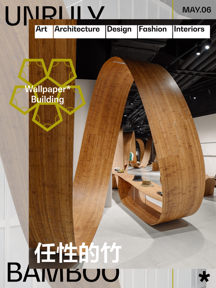 你以为竹子的极限和竹子真正的极限-0