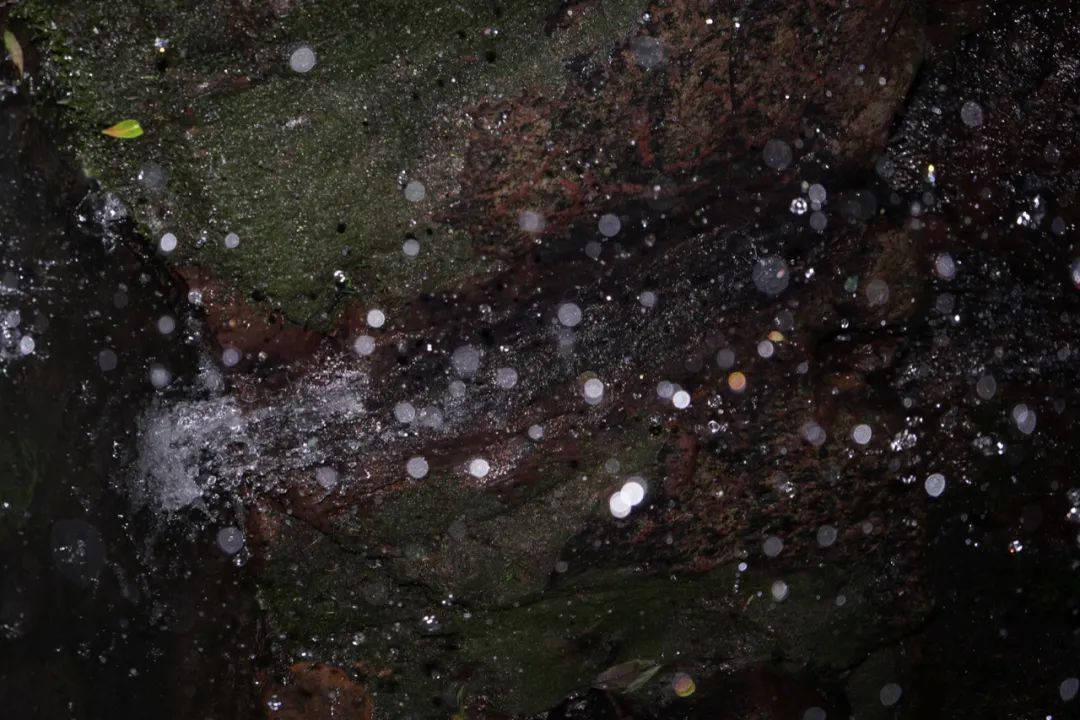 Yang Zhao  VISUAL ARTS-18