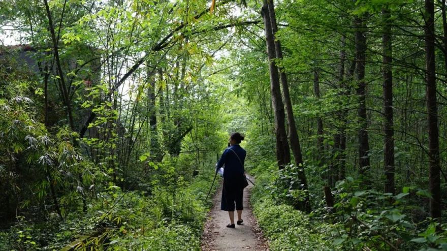 天府林盘·竹韵原乡 | 安仁林盘庄园-39