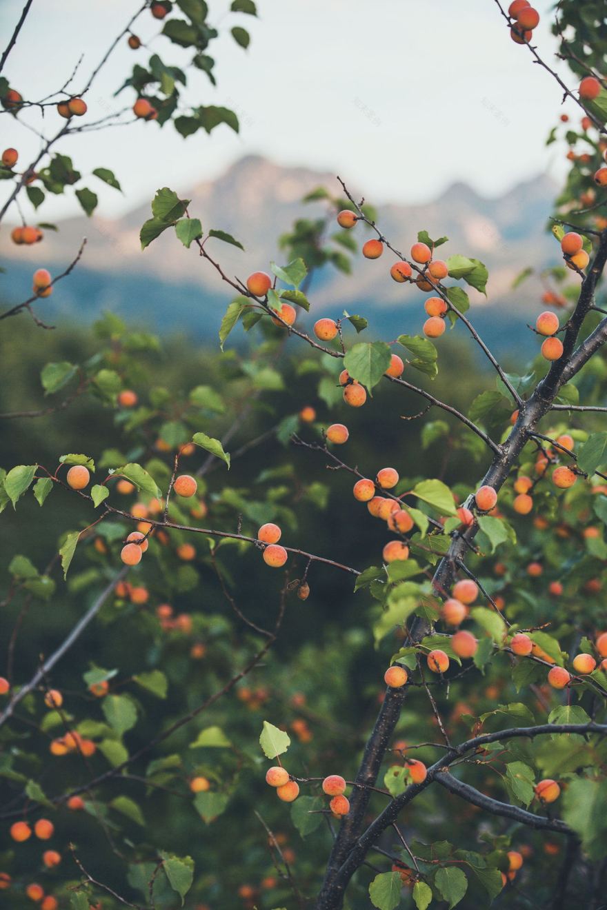 塞伦斯·密境民宿丨中国北京丨北京無隐建筑-63