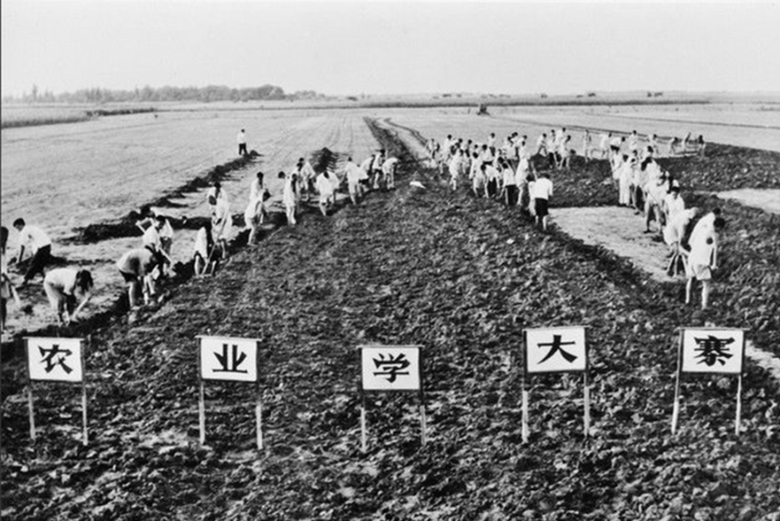 大寨博物馆丨中国山西丨同济大学建筑设计研究院(集团)有限公司建筑设计一院-15