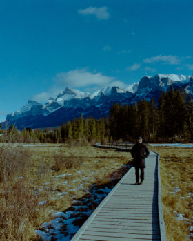 无明确提及丨加拿大