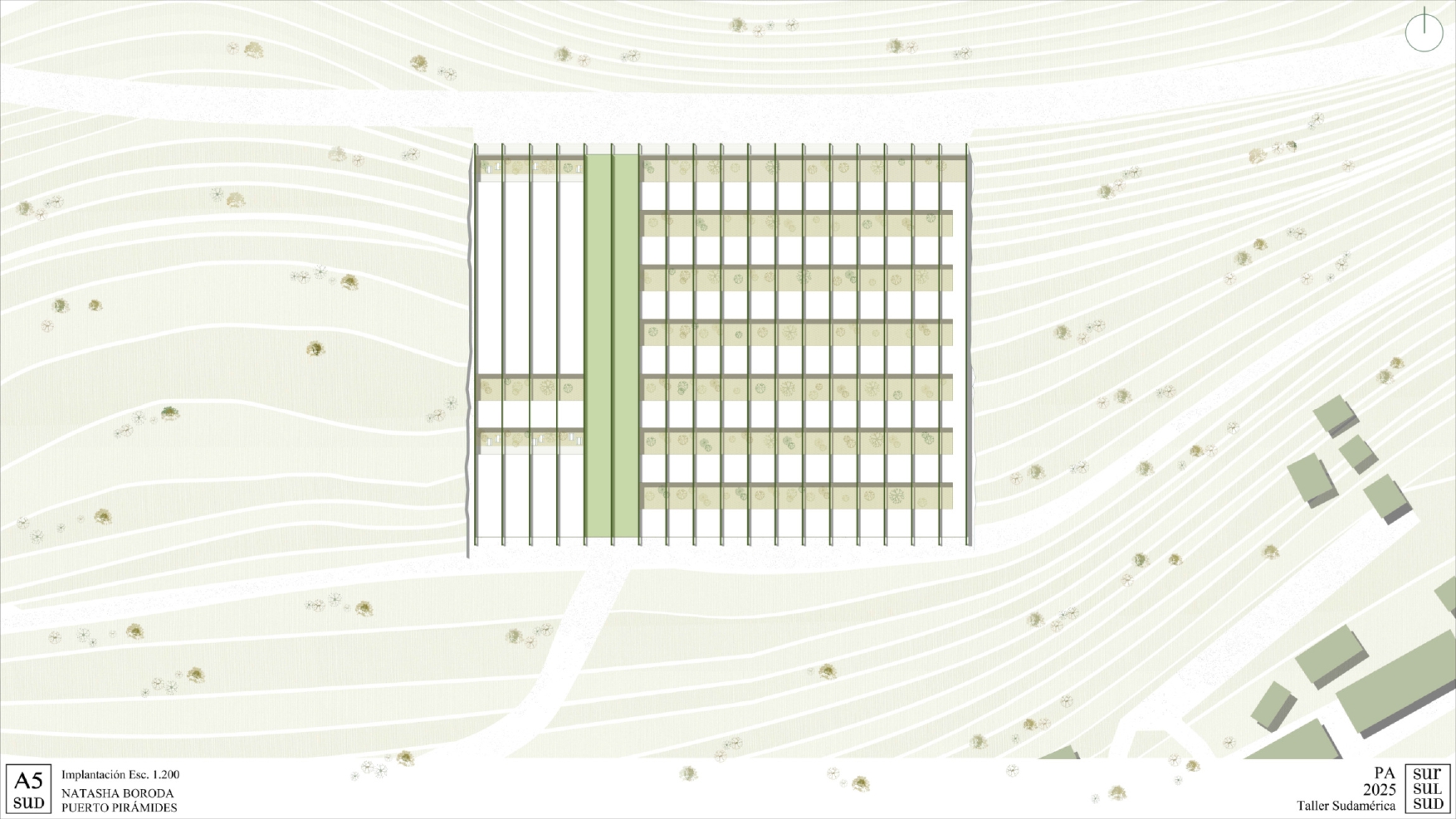 Puerto Pirámide | Centro de Investigacion-11