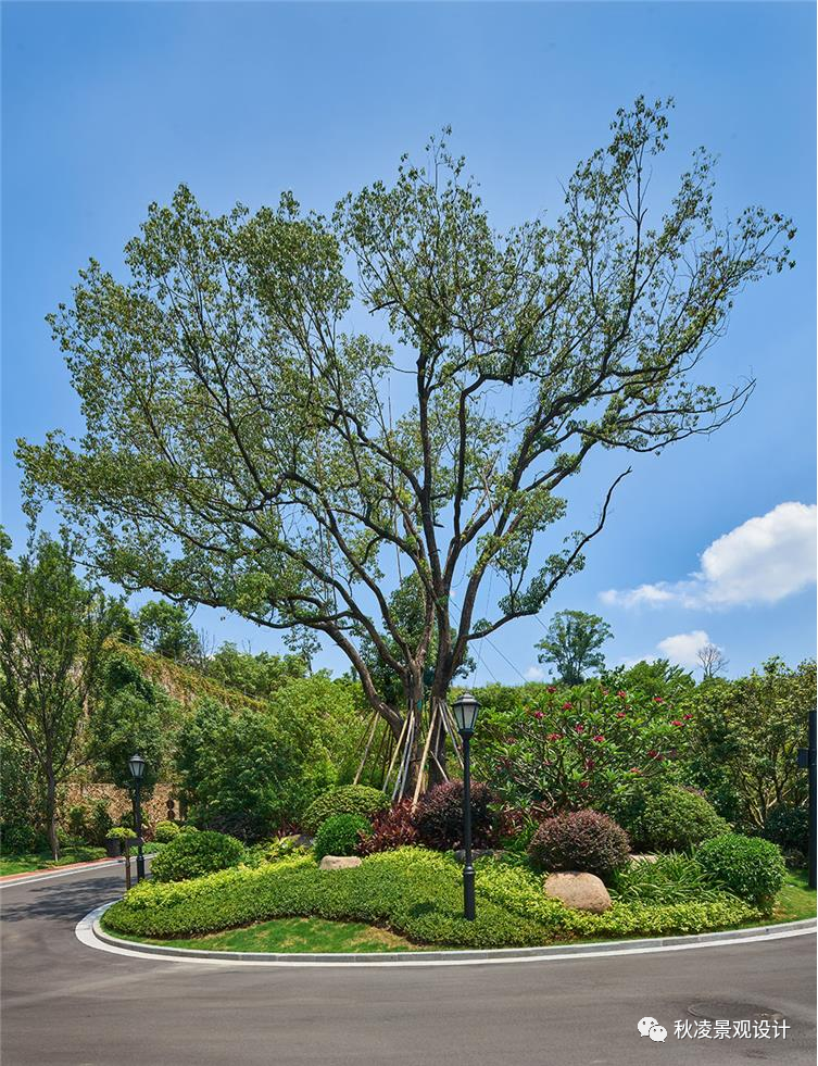 植物景观设计 | 创造优美的园林空间环境-11