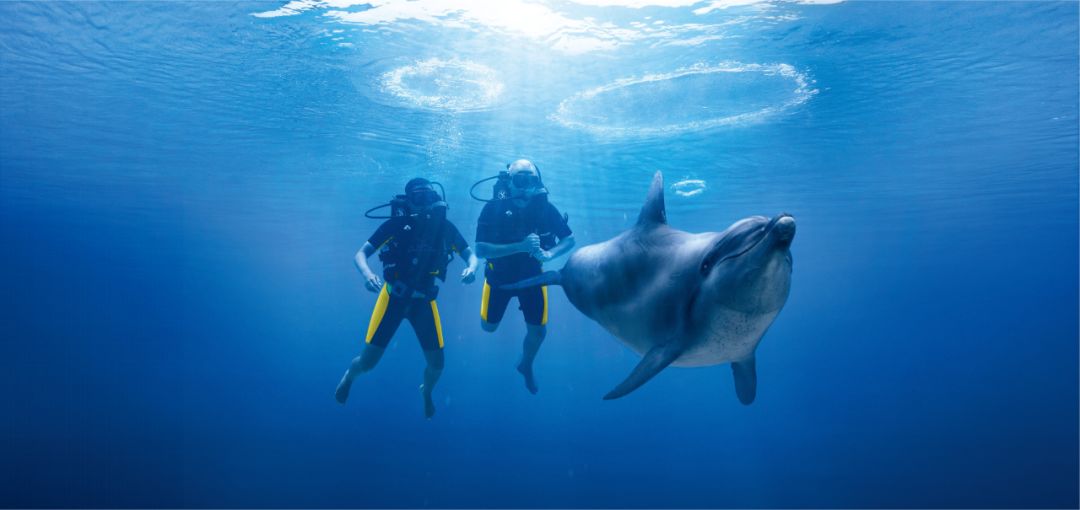 三亚•亚特兰蒂斯 | 一站式度假目的地-68