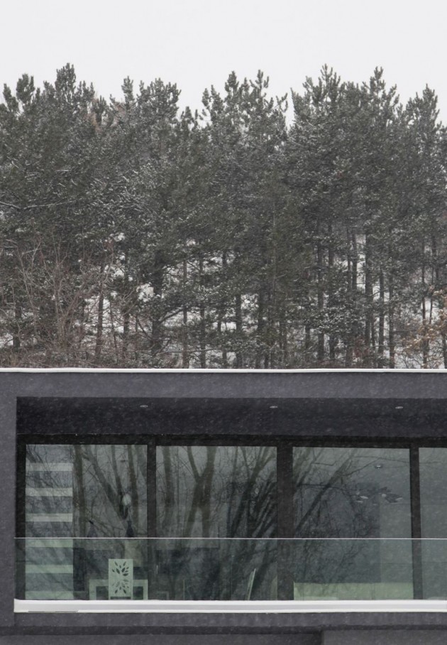 Dimitrovgrad自然导向的改造项目丨Modelart Arhitekti-19