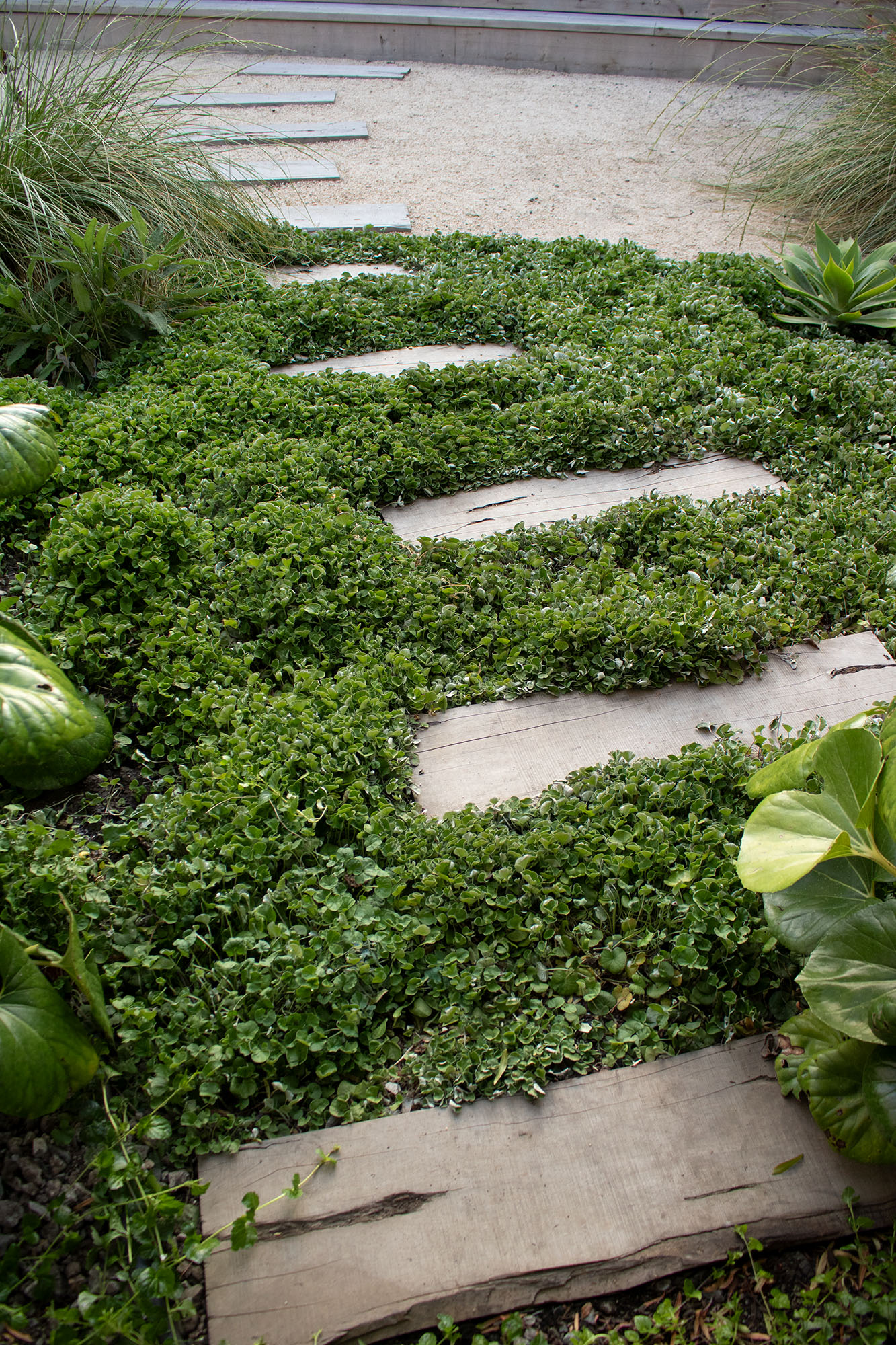 身边风景 | Soft Studio-43