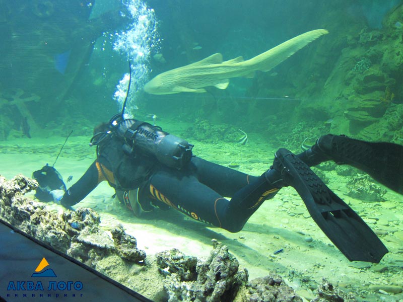 ТРЦ РИО海洋馆丨俄罗斯莫斯科丨Аква Лого инжиниринг-23