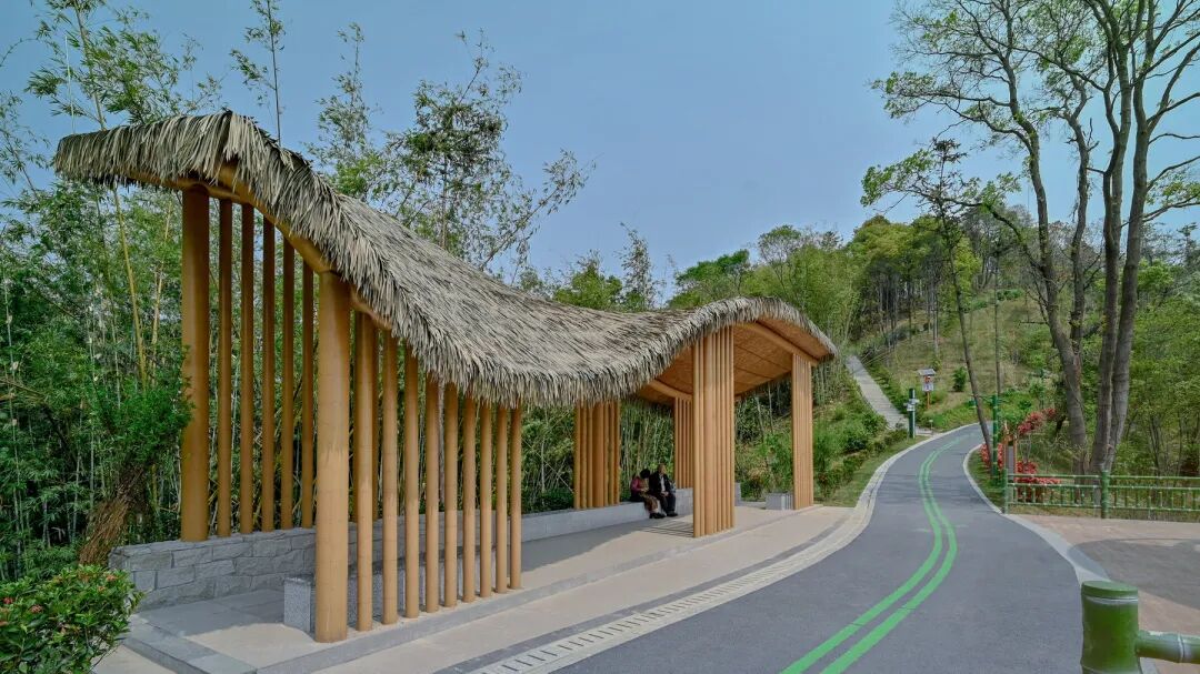 广宁竹海公园|构建绿美竹韵之路-50