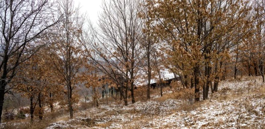 树下·山中木屋丨中国洛阳丨二合永设计-13