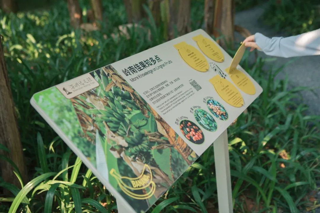 紫涧园（郊野径入口）景观设计丨东大（深圳）设计有限公司,AECOM-71