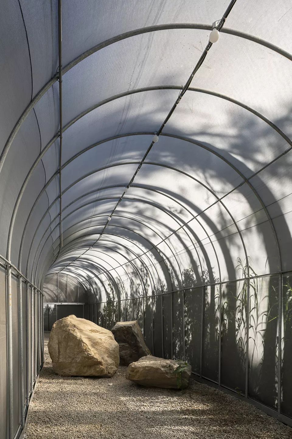 苗栗香格里拉乐园自然教室 | 岩石与银网的生态奇观-55