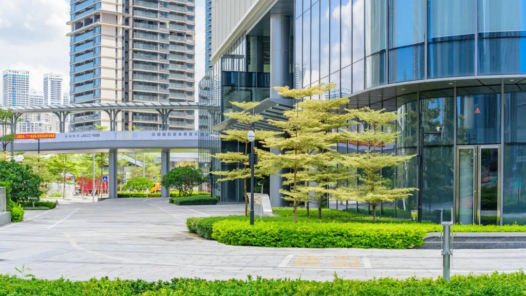 与城市共生，与自然共舞|前海中国国有资本风投大厦-21