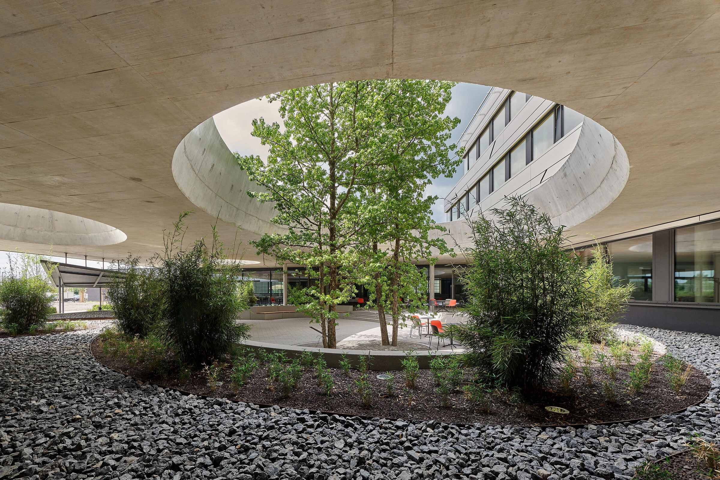 Schweickert 总部及物流大厅丨德国丨SCOPE Architekten GmbH-37