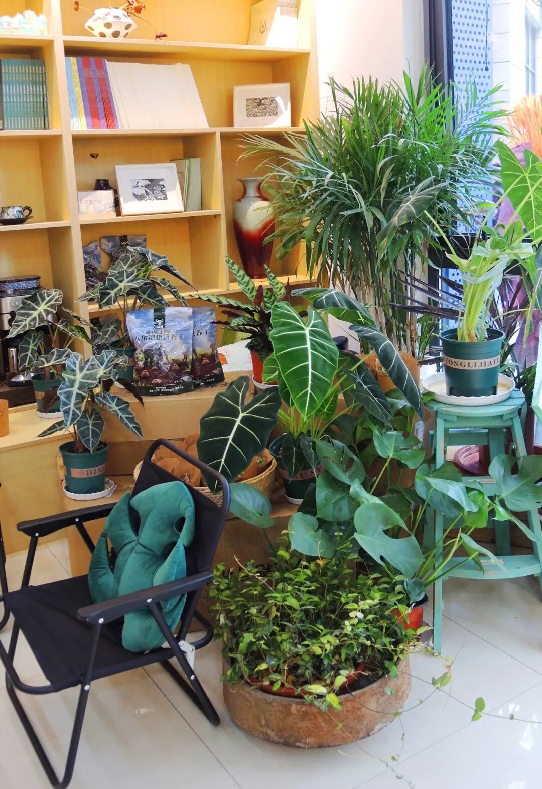 大众网满月回访泉民园艺中心领航店-55