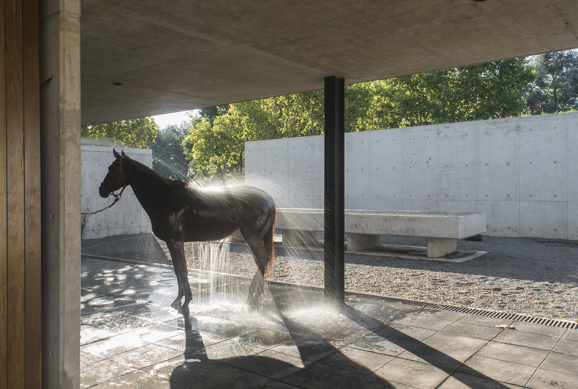 菲格拉斯马球马厩-29