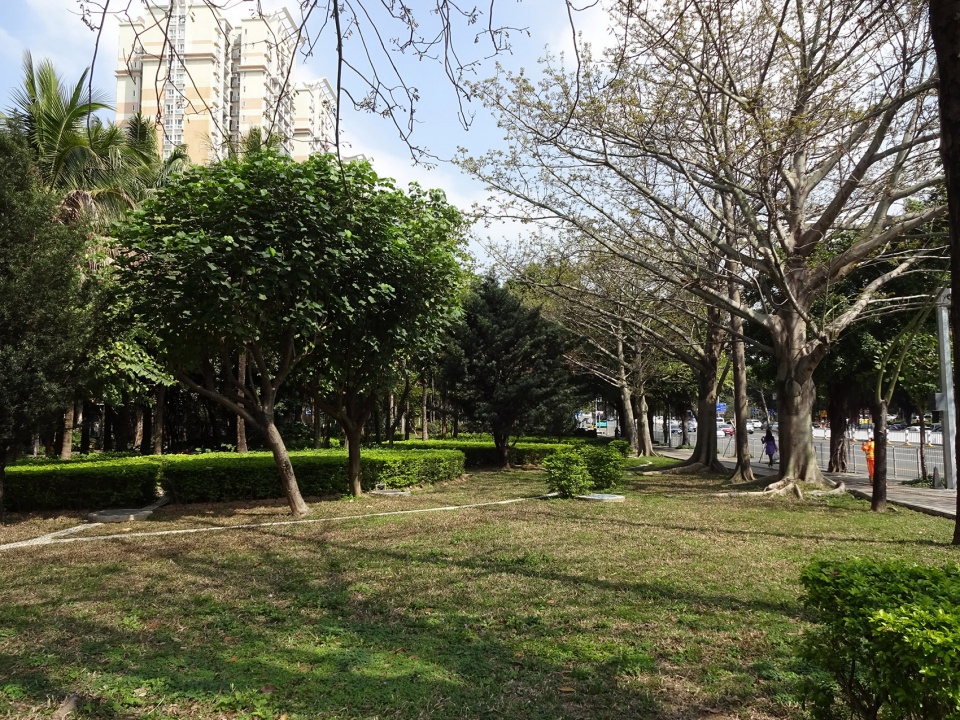 罗湖区“三横四纵”道路沿线视觉一体化·笋岗东路丨深圳市新西林园林景观有限公司-53