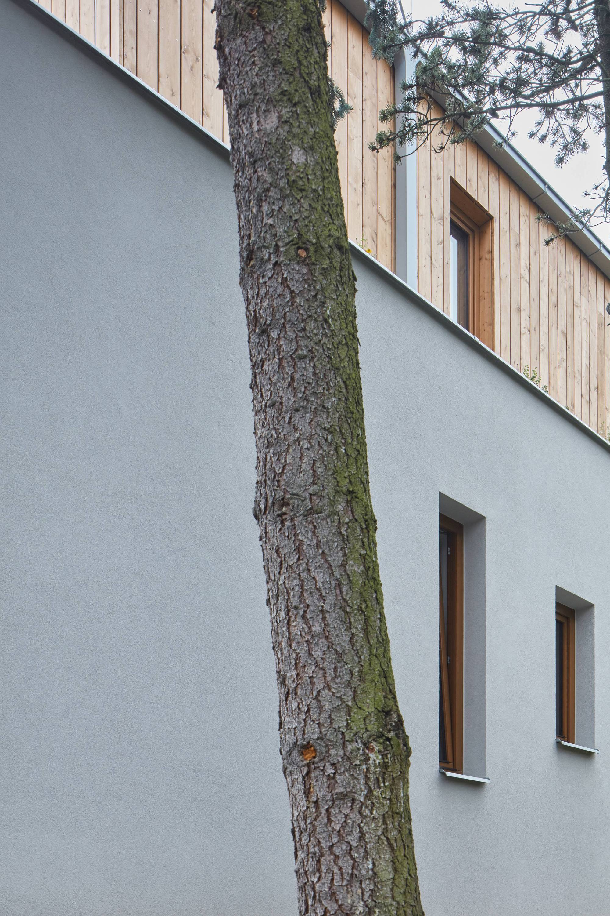 老花园里的新房子丨Czech丨kaastudio-27