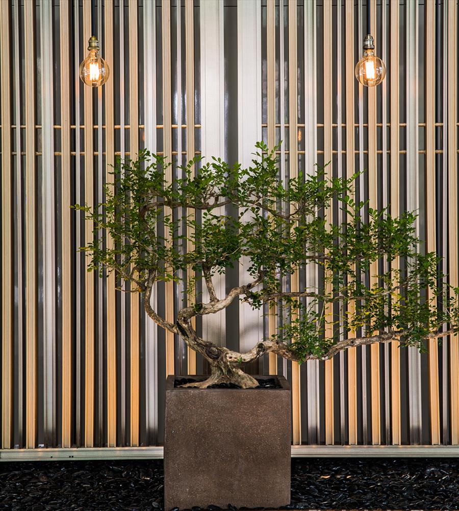 深圳南山万豪酒店-4