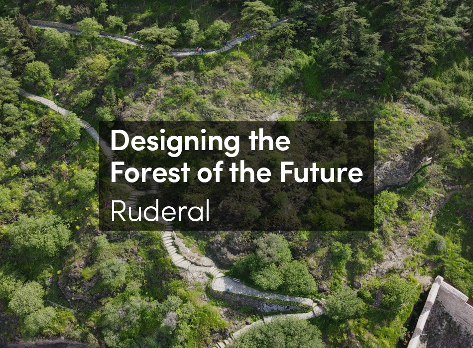 Yichang Canal Park（宜昌运河公园）丨中国宜昌丨Turenscape Landscape Architects-10