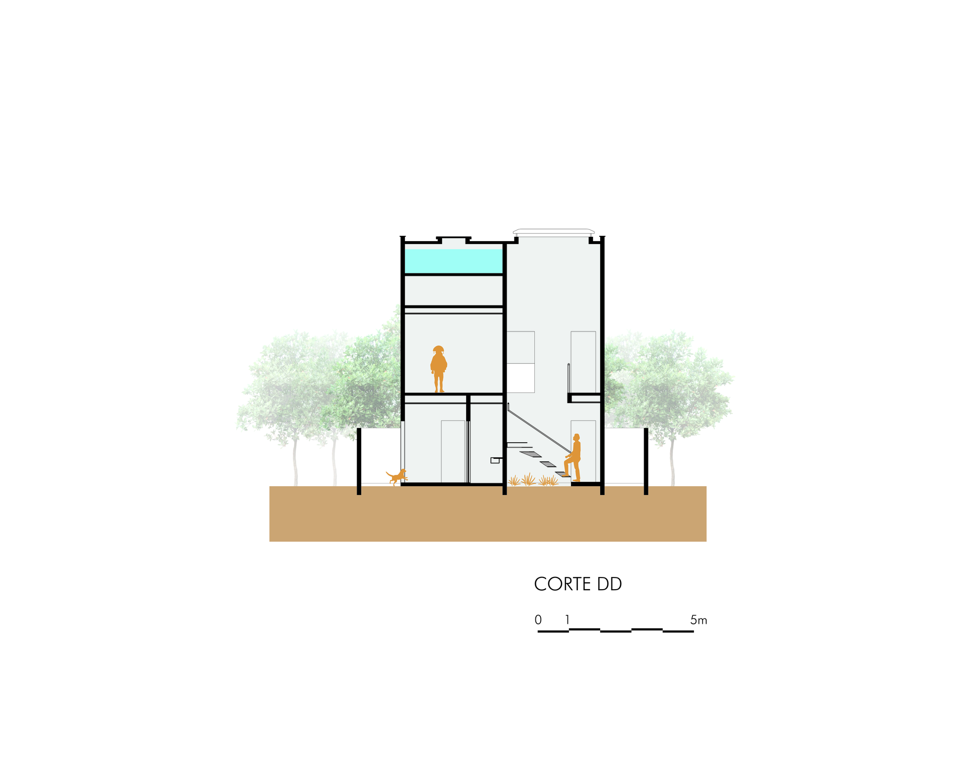 C 屋丨巴西塞阿拉丨Lins Arquitetos Associados-43