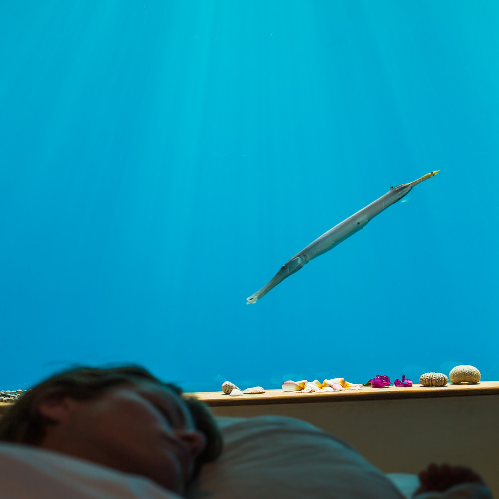 The Manta Underwater Room  Genberg Underwater Hotels-32