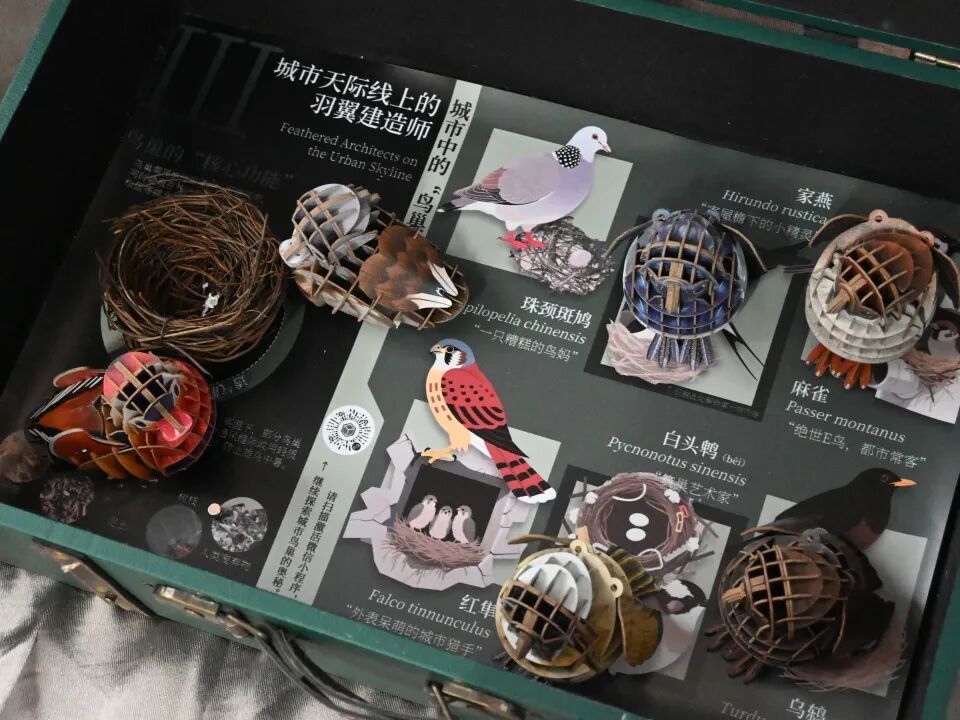 即将开幕！2025北京国际设计周“行动设计”手提箱博物馆流动展览暨沙龙-44