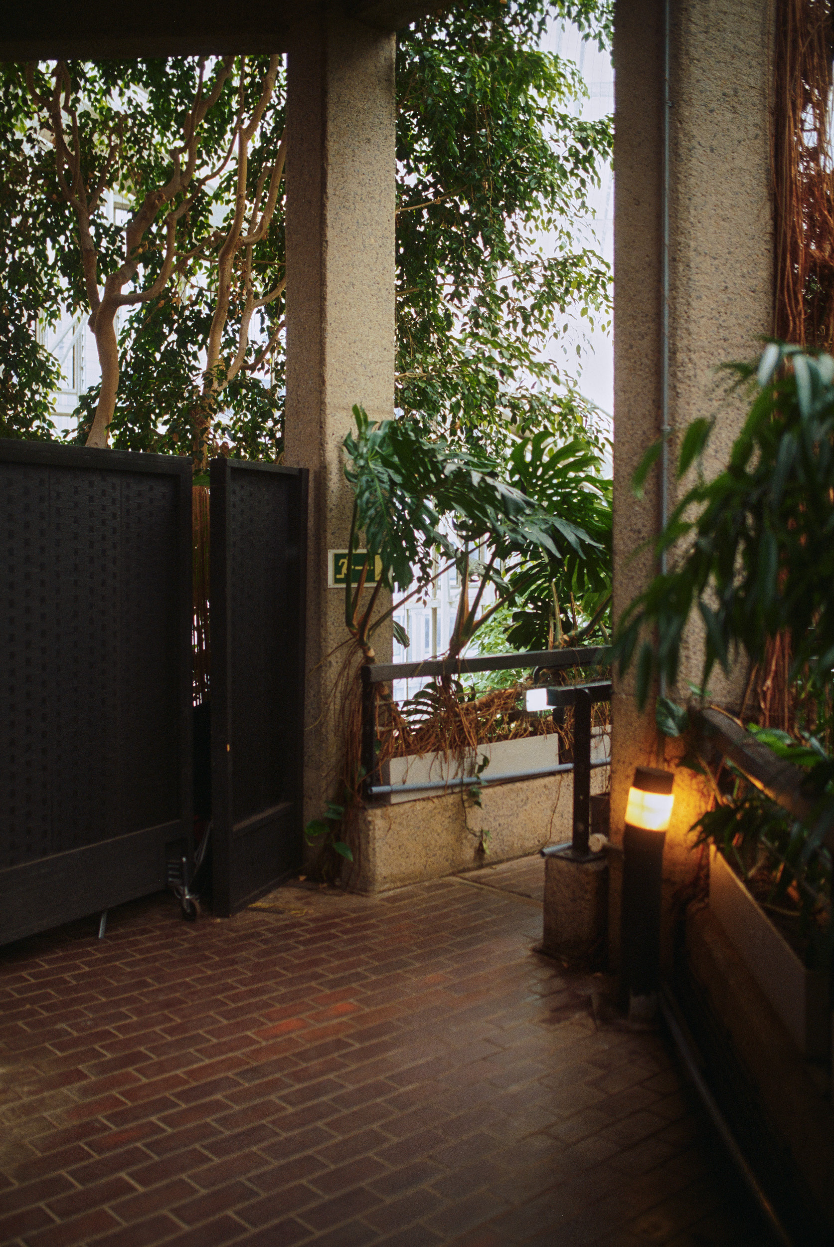 巴比肯温室丨英国伦敦-38