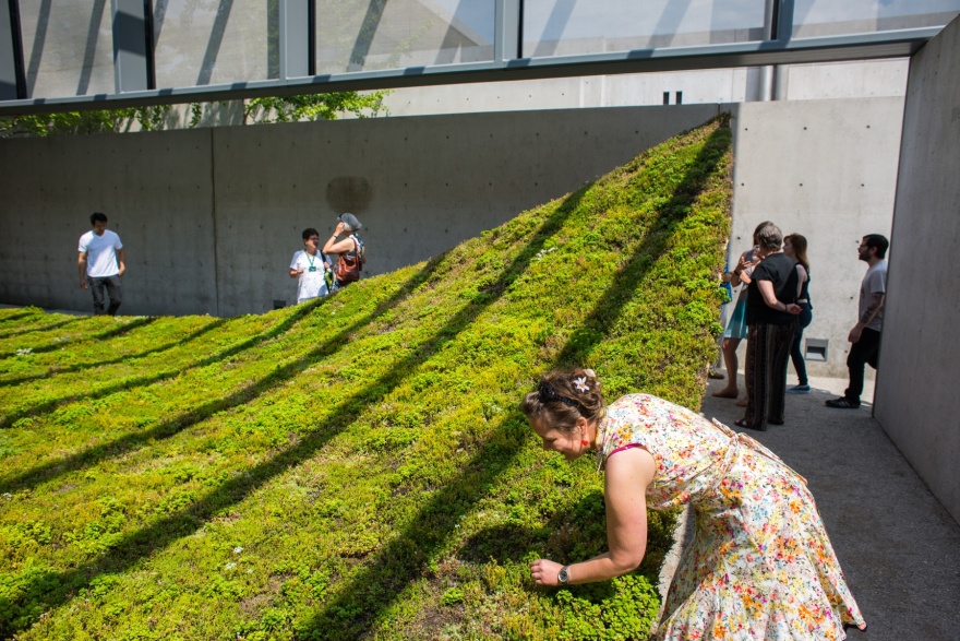 绿色地毯艺术装置丨美国丨nomad studio-6