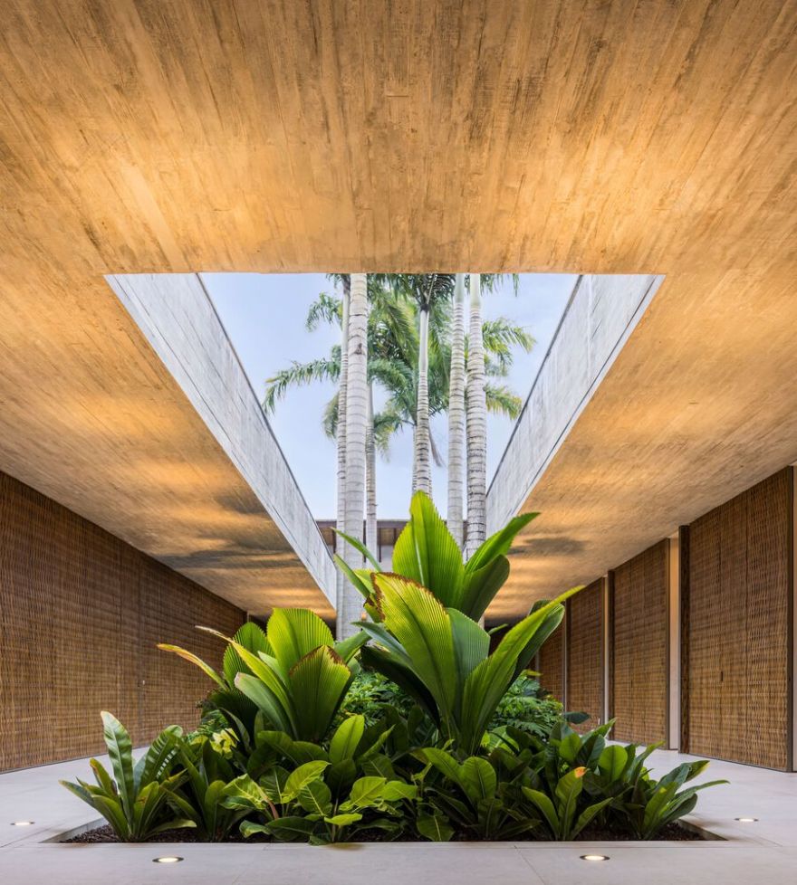 巴西丛林中的 01 TVN House-10