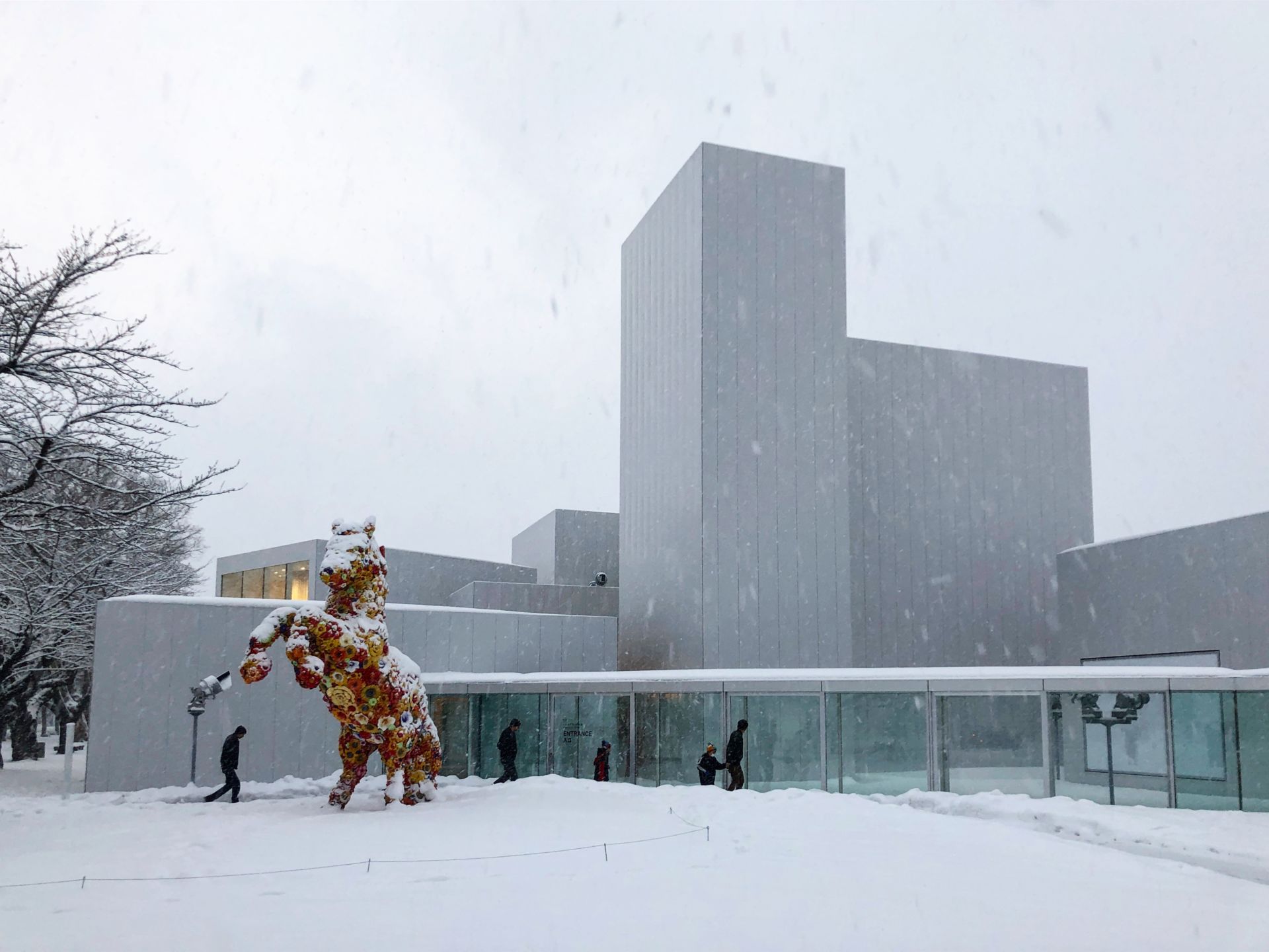 十和田市现代美术馆丨日本青森丨建築家ユニットSANAA（西沢立衛,妹島和世）-43