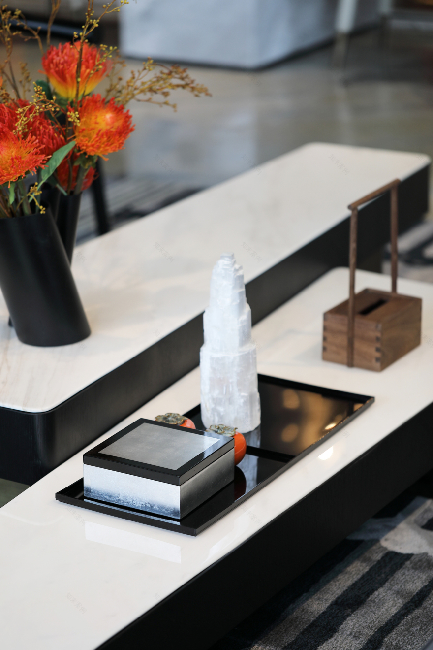 成都天府孔雀城展示区-28