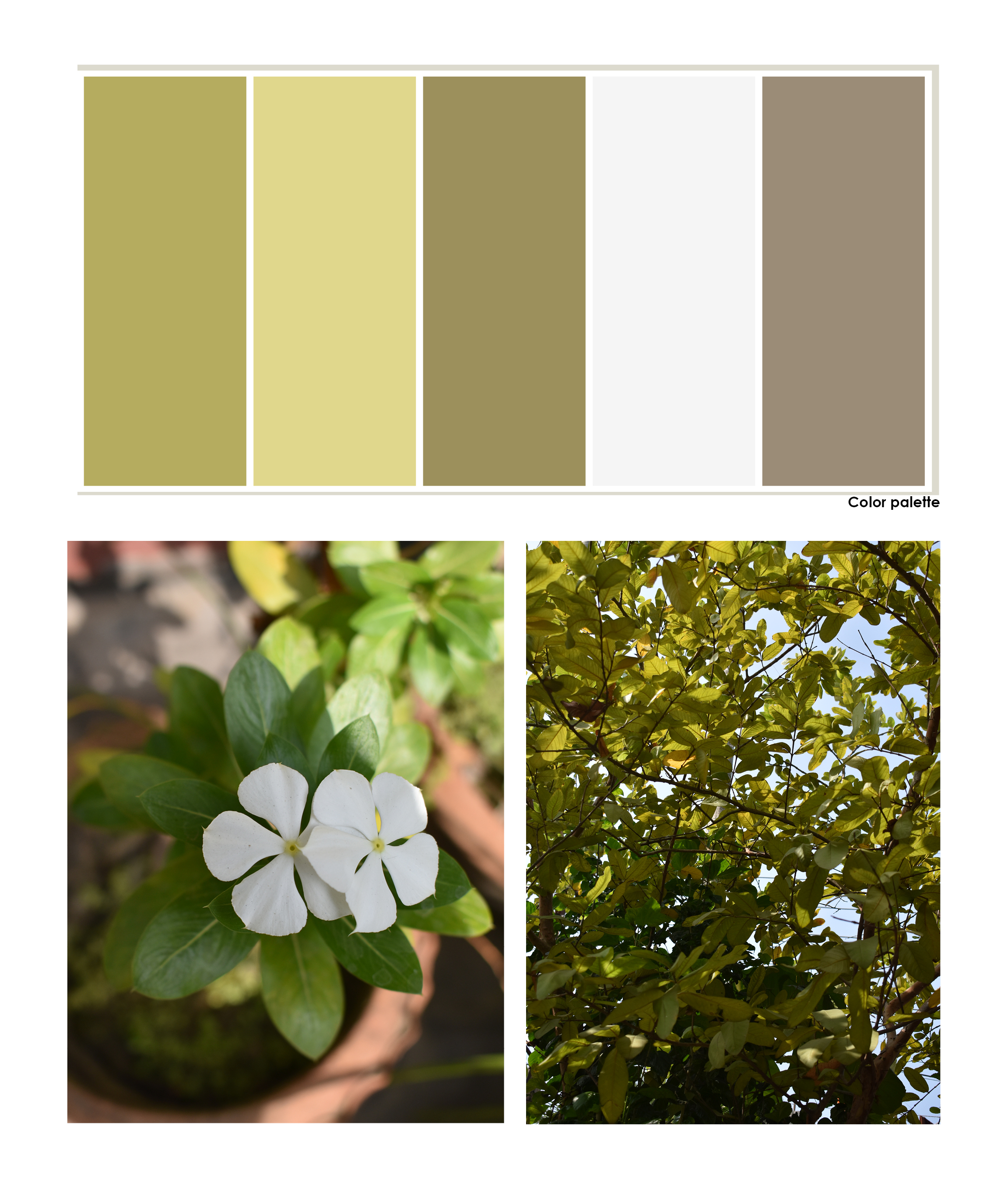 Eco printed (Home Collection)-6