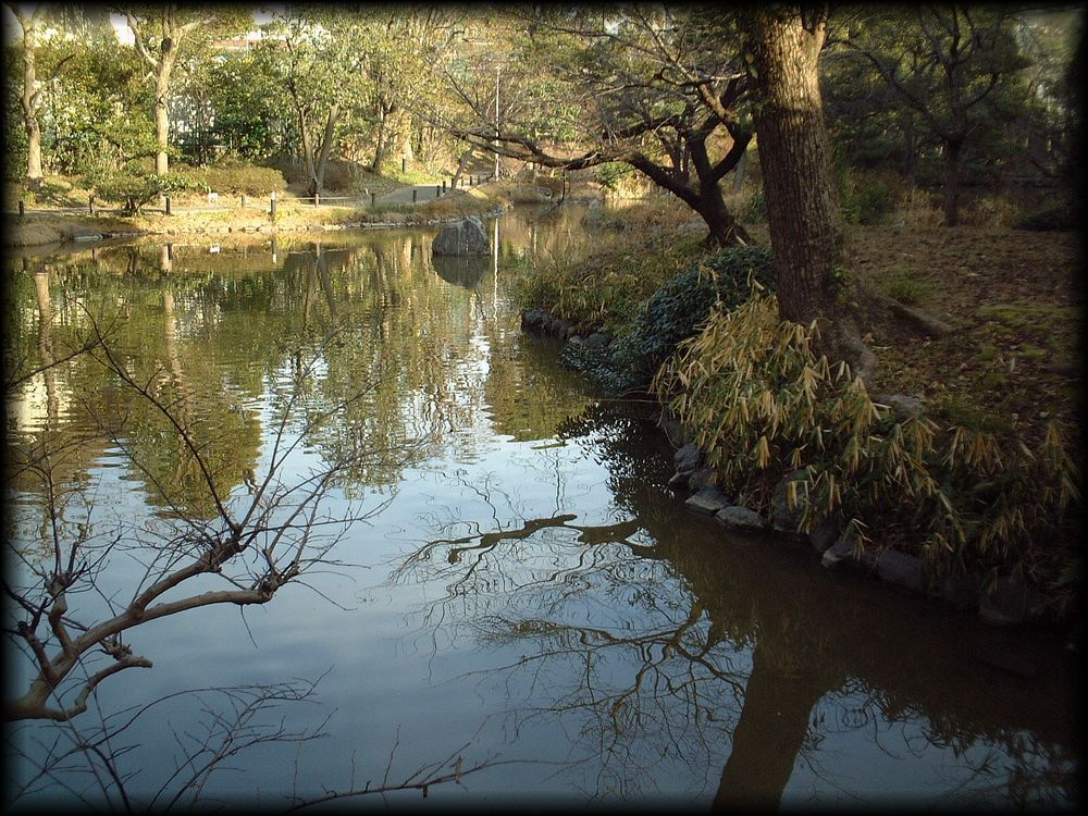 积翠园（平重盛「小松邸」迹庭园）丨日本京都-16
