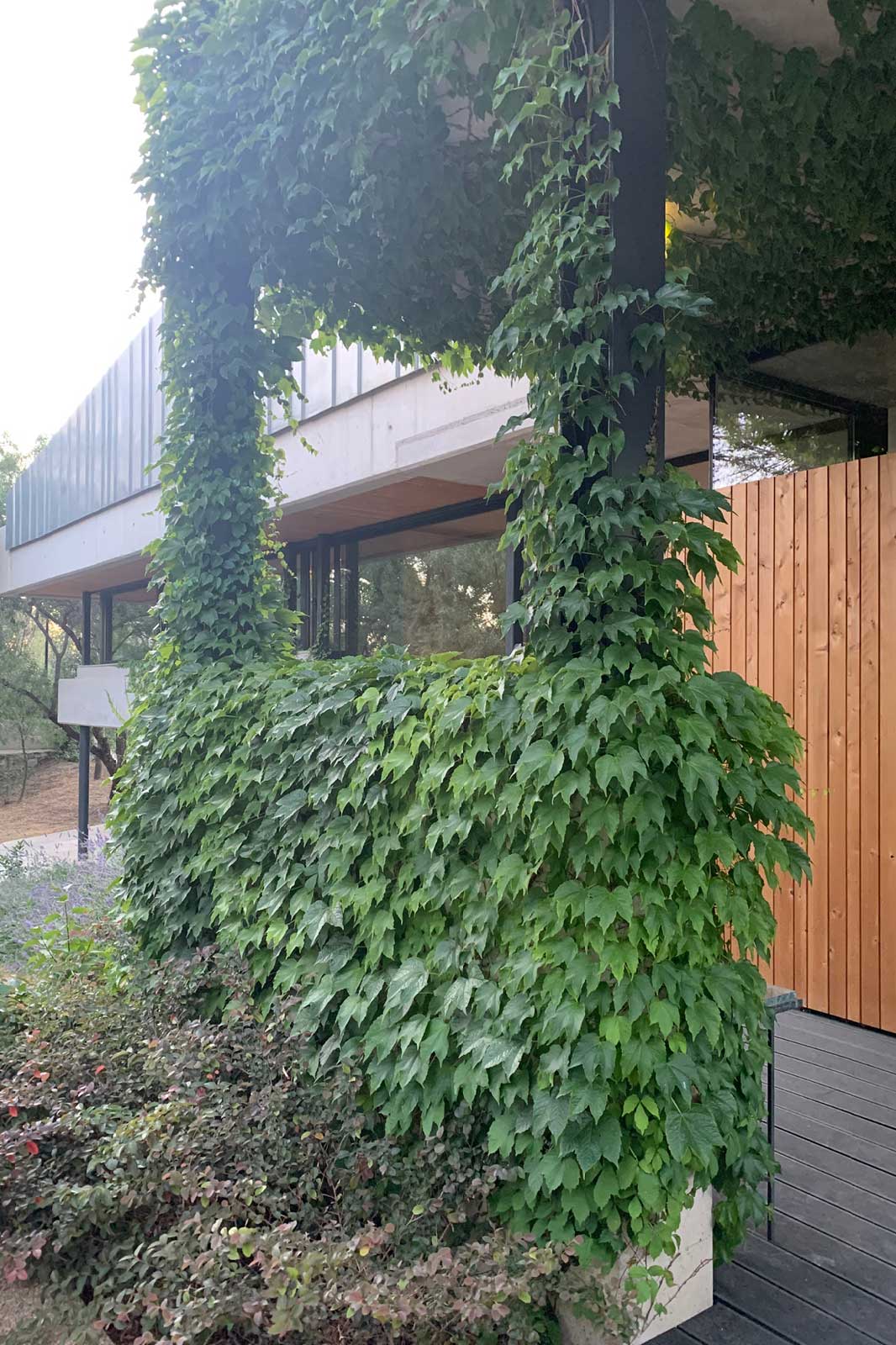 米纳亚之家丨SpainMadrid丨U3 estudio de arquitectura-14