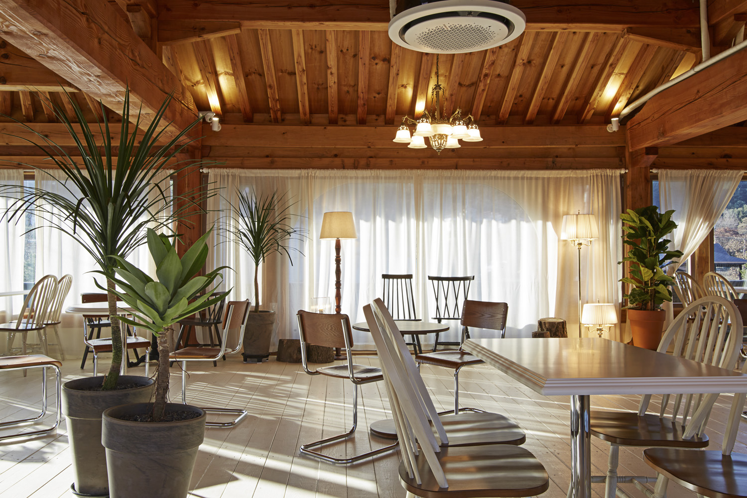 60 平小空间咖啡厅设计，温馨舒适-5