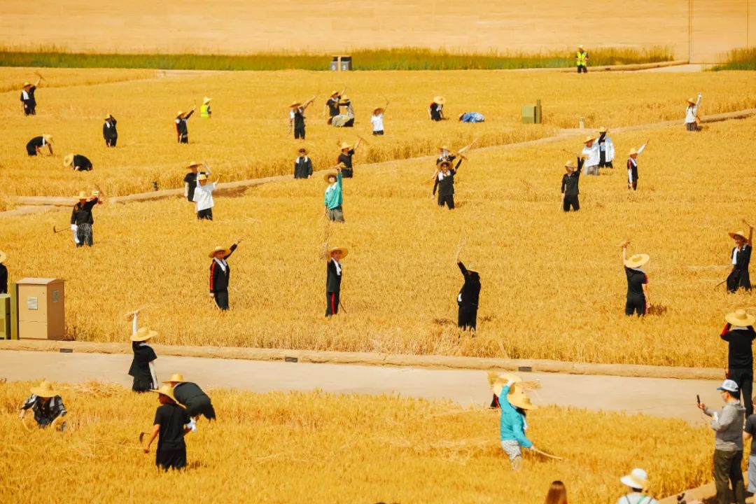 只有河南·戏剧幻城丨中国郑州丨吕元祥设计,永续设计等-33