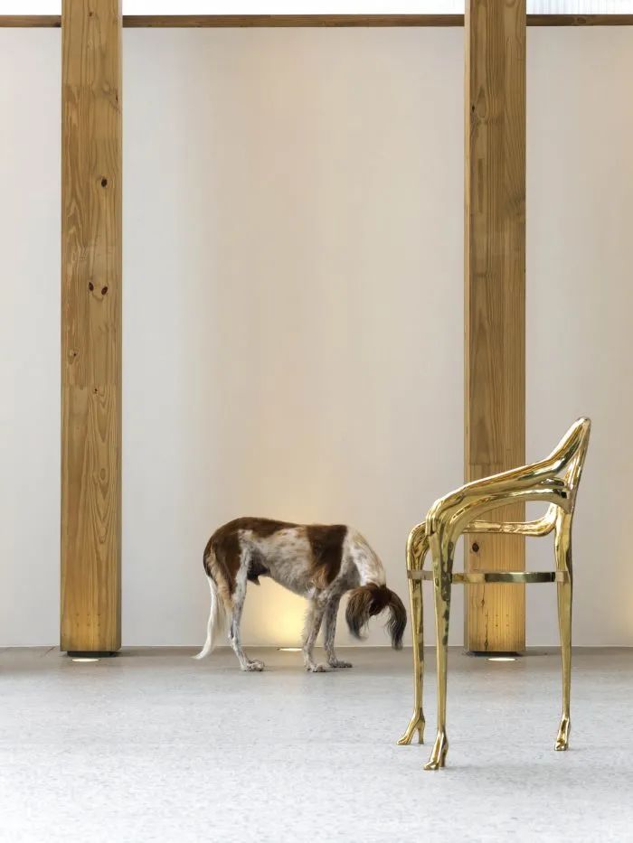 巴西圣保罗 MiCasa Vol·C 商店丨Studio MK27-101