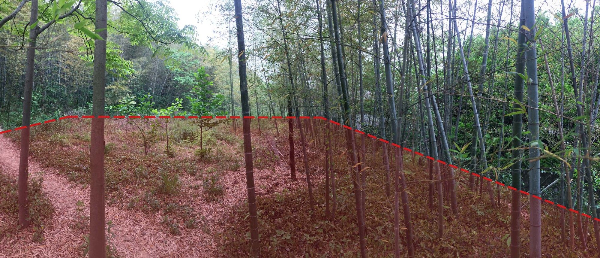 南京汤山猿人洞游客服务站丨中国南京丨AESEU 建筑技术与艺术工作室-76