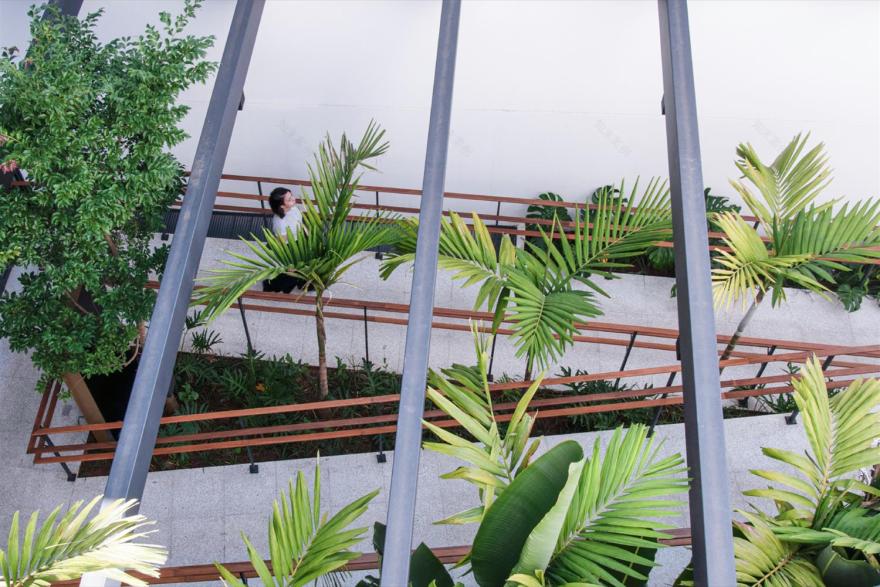 巴西 Alto da Boa Vista 住宅区 · 园林与建筑的和谐共生-3