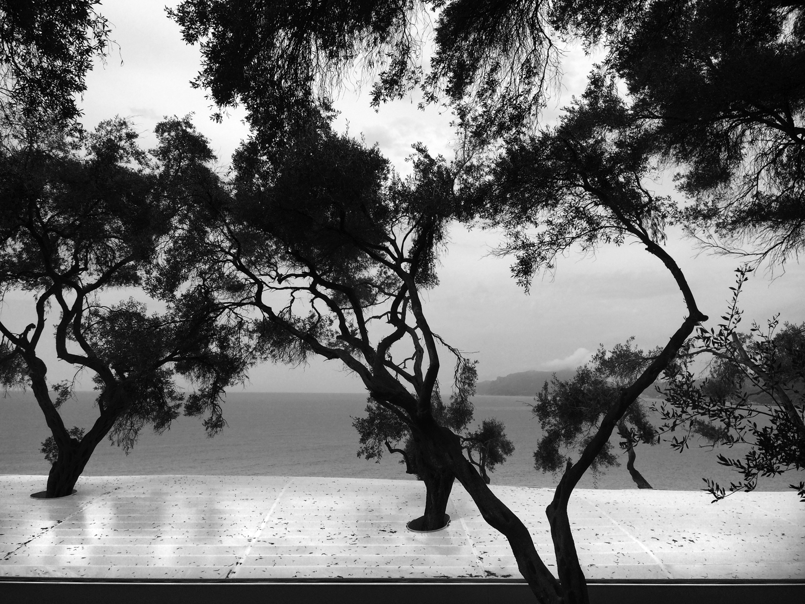 爱奥尼亚海滨住宅-15