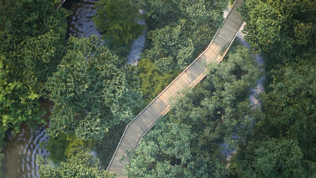 Sky Walk Clearing and Build-7