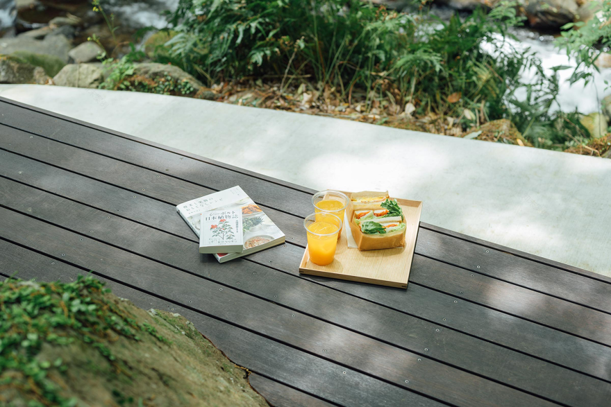 日本汤河原温泉 Yugawara Soyu Books and Retreat,宁静的森林庇护所-44