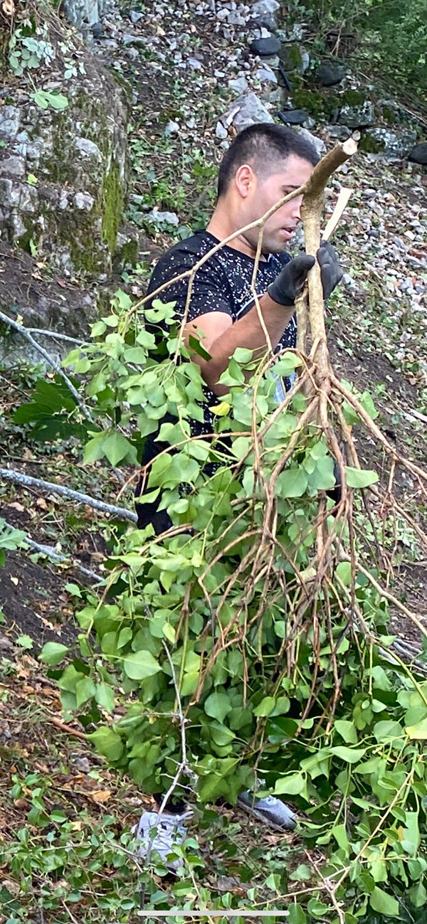 肖梅拉克团结工地-21