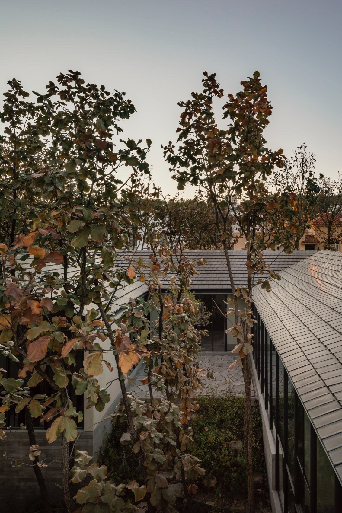 Caribu 住宅丨墨西哥丨Taller Tequio-3