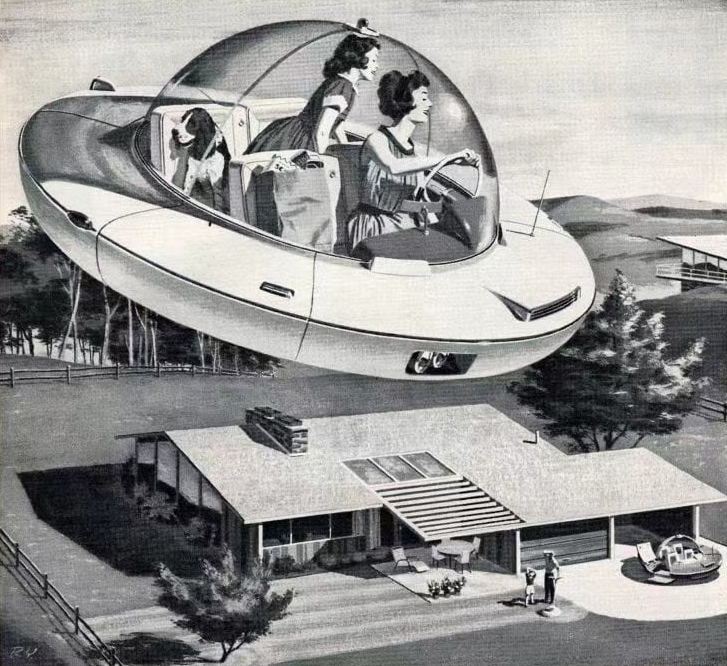 bibu宠物店丨中国广州丨今朝风日好ofD-7