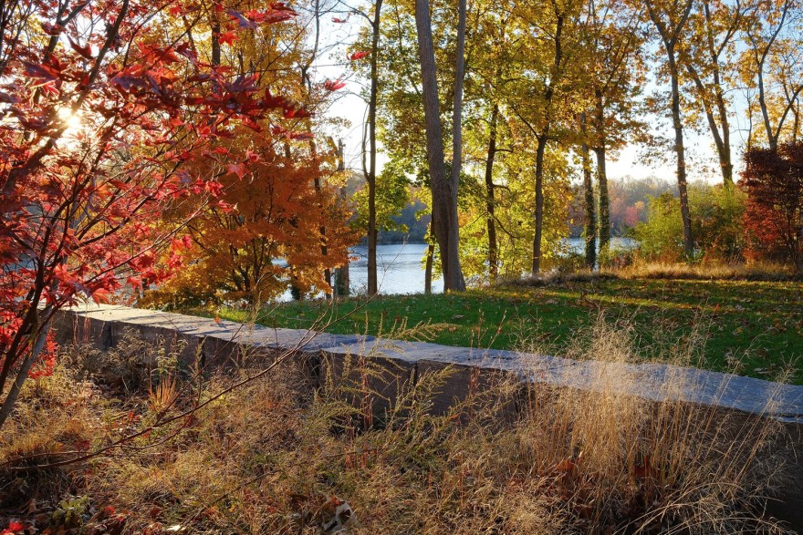 美国普林斯顿 La Clairiere 住宅丨Studio PHH Architects-17