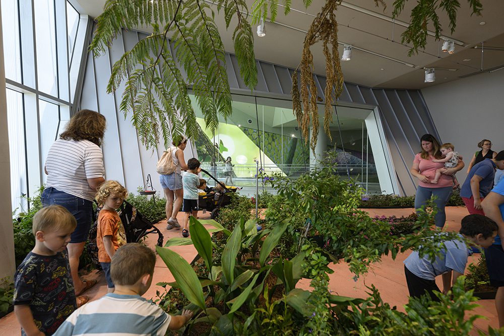 Crystalline volume added to Audubon Aquarium and Insectarium in New Orleans | CambridgeSeven-6